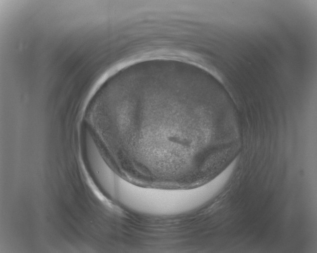 X0000082201515200702021831