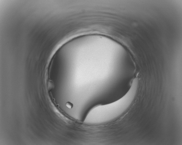 X0000082201516200702021831