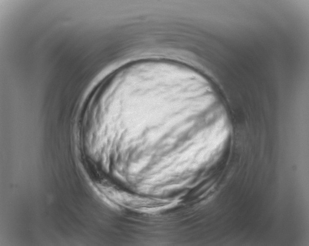 X0000082201517200702021831