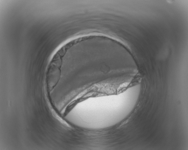 X0000082201518200702021831