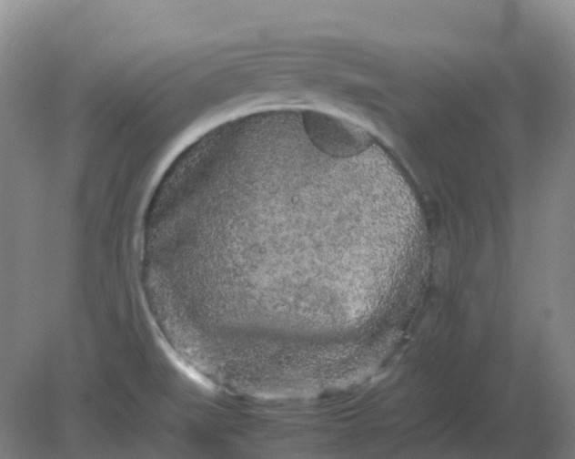 X0000082201519200702021831