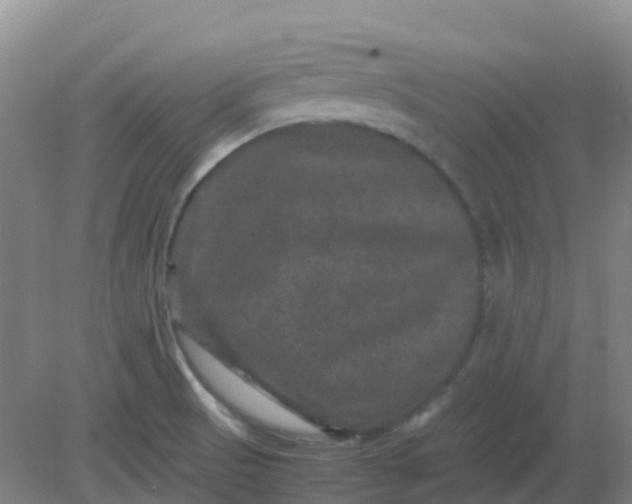 X0000082201521200702021831