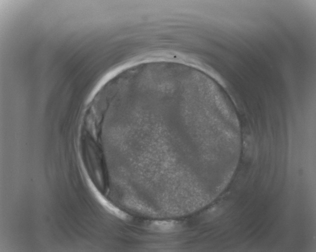 X0000082201523200702021831