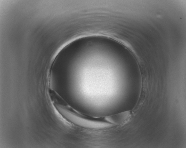 X0000082201524200702021831