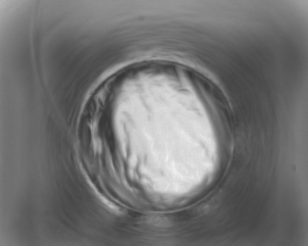 X0000082201525200702021831