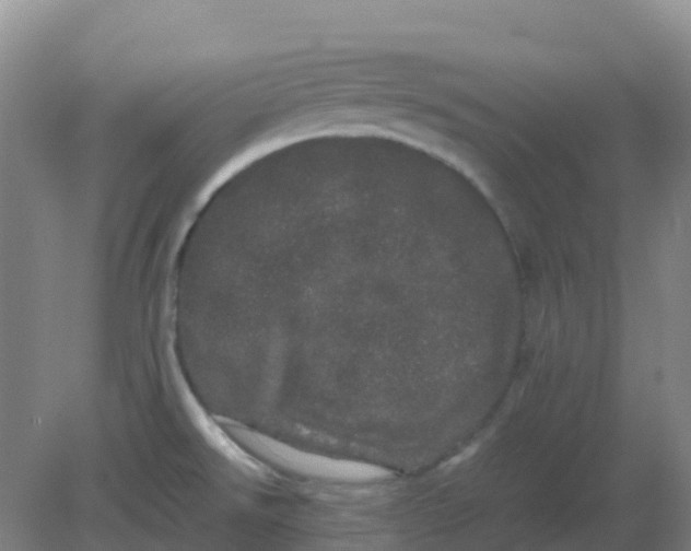 X0000082201526200702021831