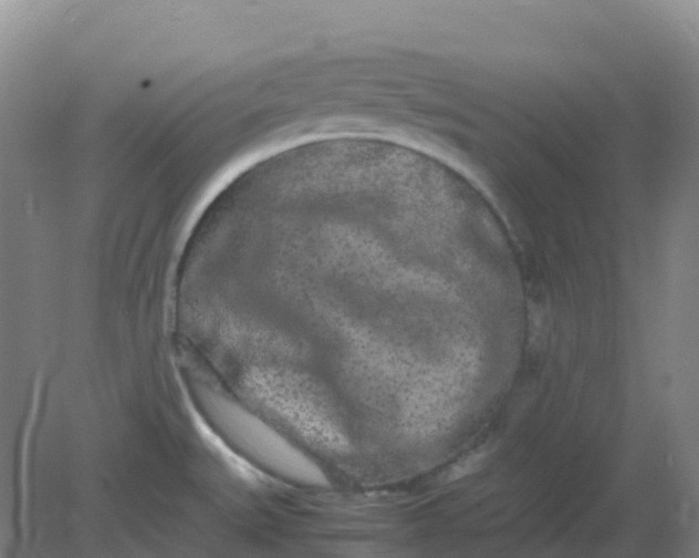 X0000082201527200702021831