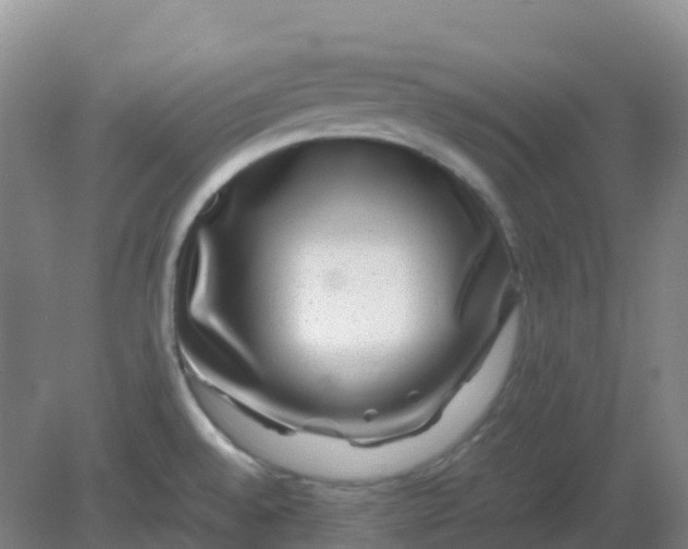 X0000082201528200702021831