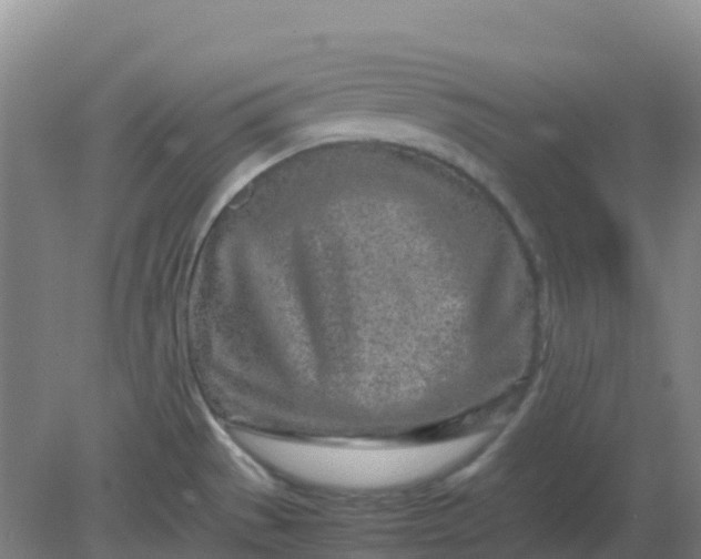 X0000082201529200702021831