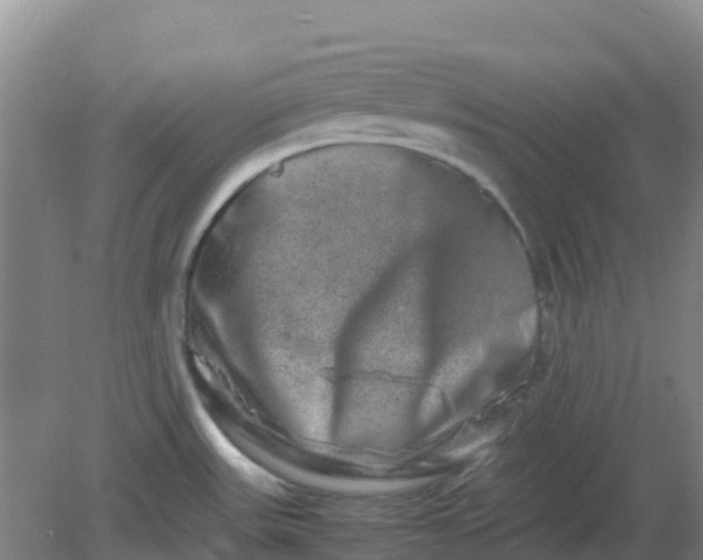 X0000082201531200702021831