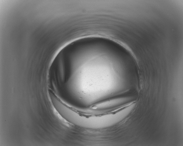 X0000082201532200702021831