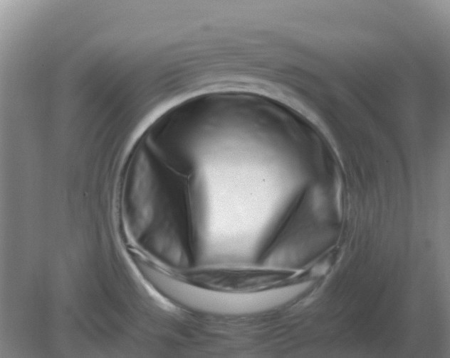 X0000082201533200702021831