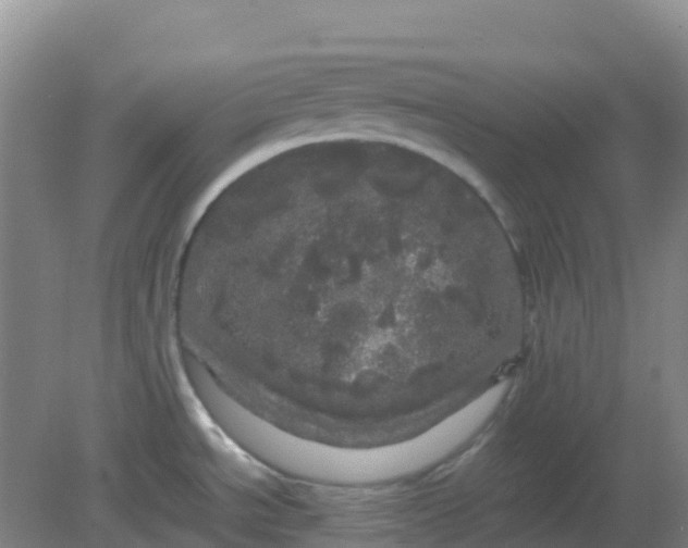 X0000082201534200702021831