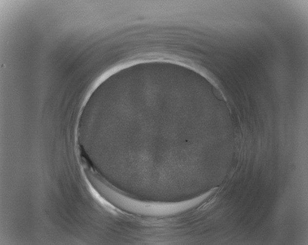 X0000082201535200702021831