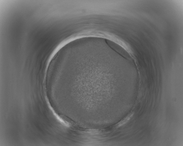 X0000082201536200702021831