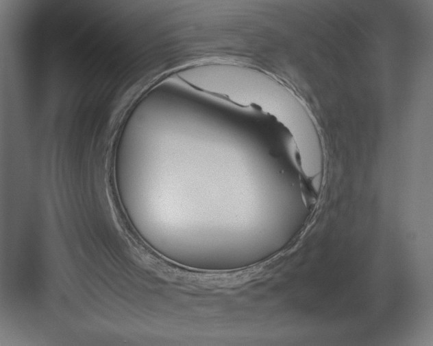 X0000082200001200702100013