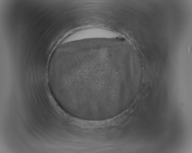 X0000082200002200702100013