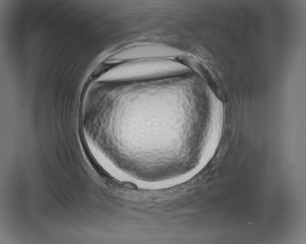 X0000082200003200702100013