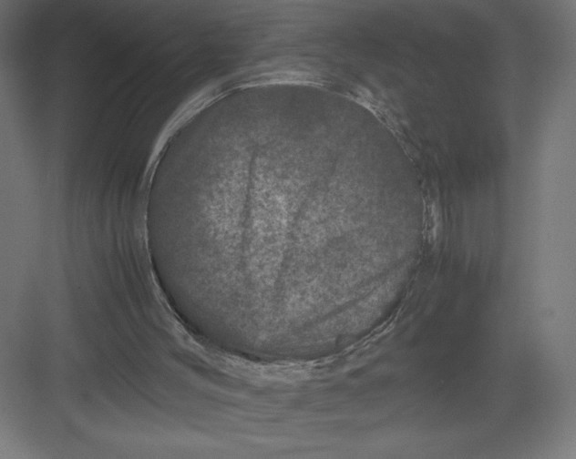 X0000082200004200702100013