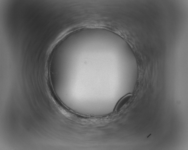 X0000082200005200702100013