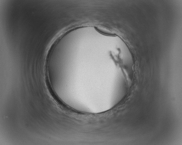 X0000082200007200702100013