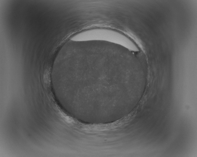 X0000082200009200702100013