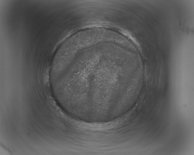 X0000082200010200702100013