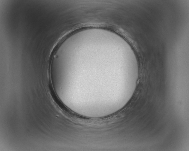 X0000082200011200702100013