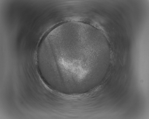 X0000082200012200702100013