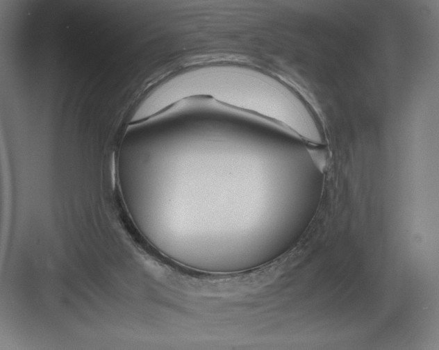 X0000082200013200702100013