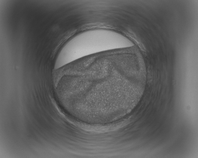 X0000082200014200702100013