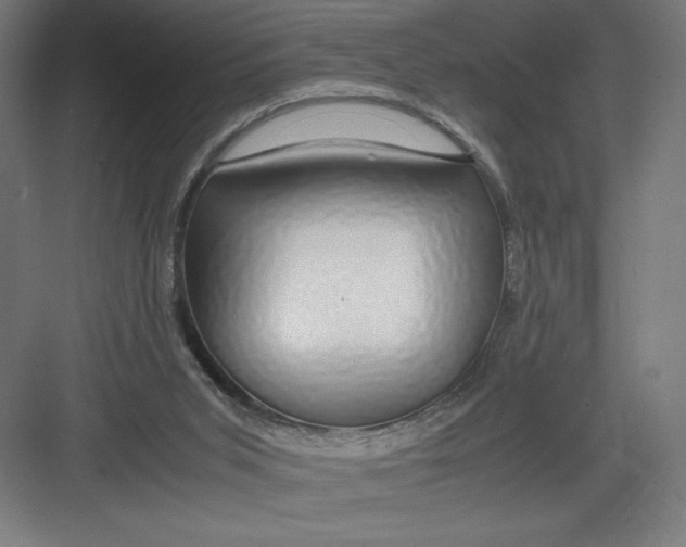 X0000082200015200702100013