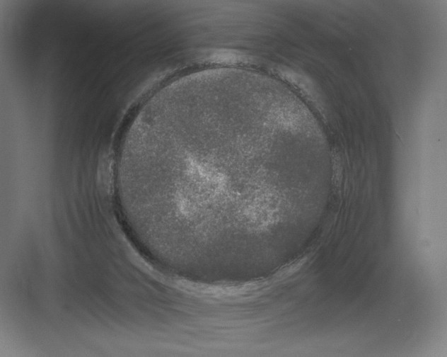 X0000082200016200702100013