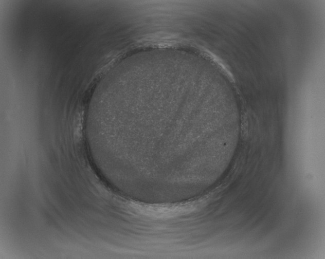 X0000082200018200702100013