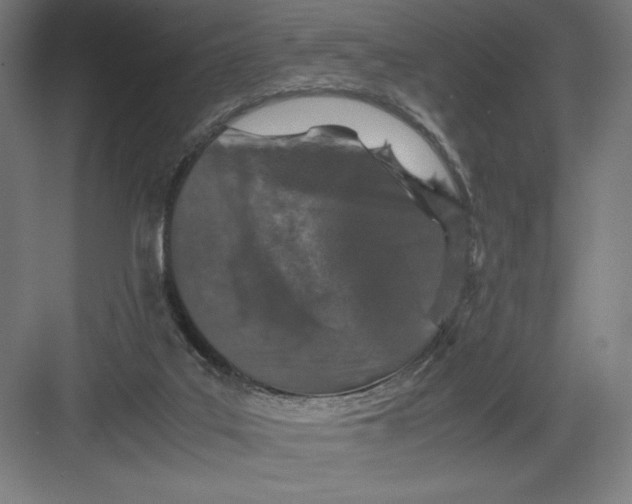 X0000082200019200702100013