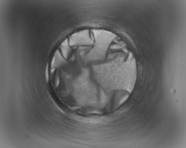 X0000082200020200702100013