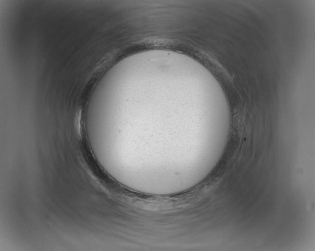 X0000082200024200702100013