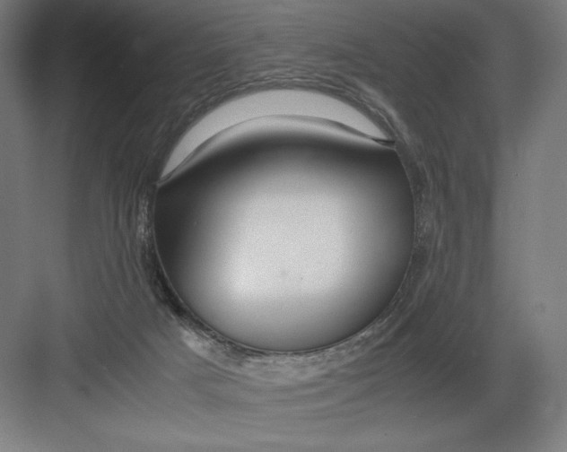 X0000082200025200702100013