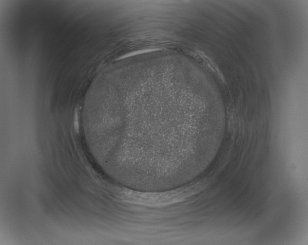 X0000082200026200702100013