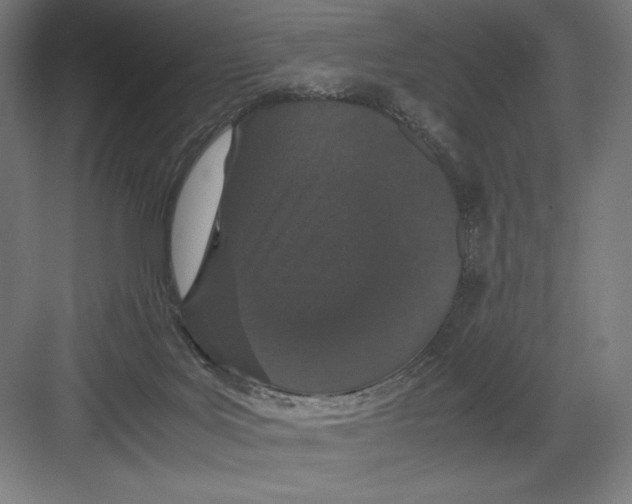 X0000082200027200702100013