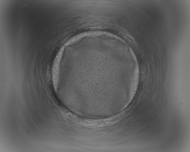 X0000082200029200702100013