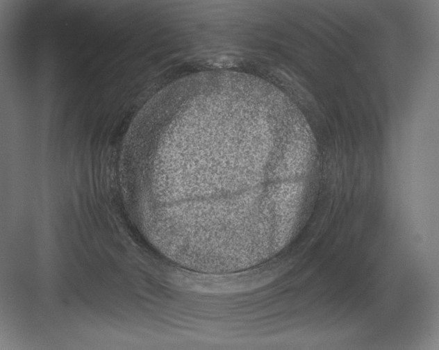 X0000082200030200702100013