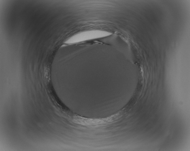 X0000082200031200702100013