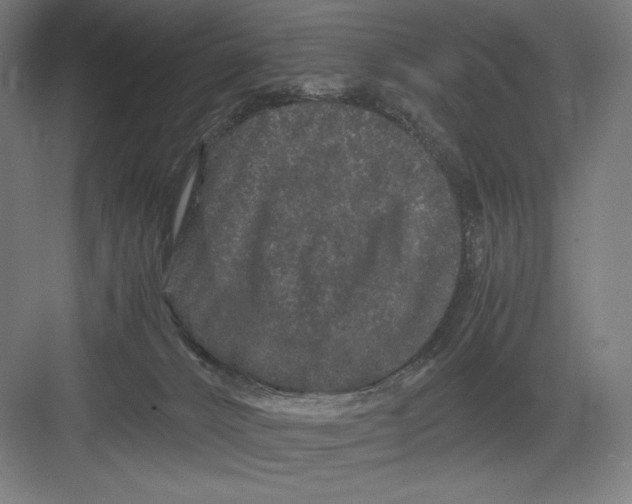 X0000082200032200702100013