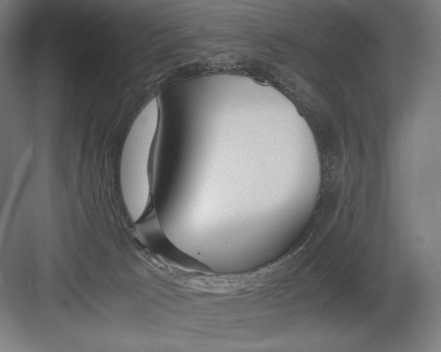 X0000082200033200702100013