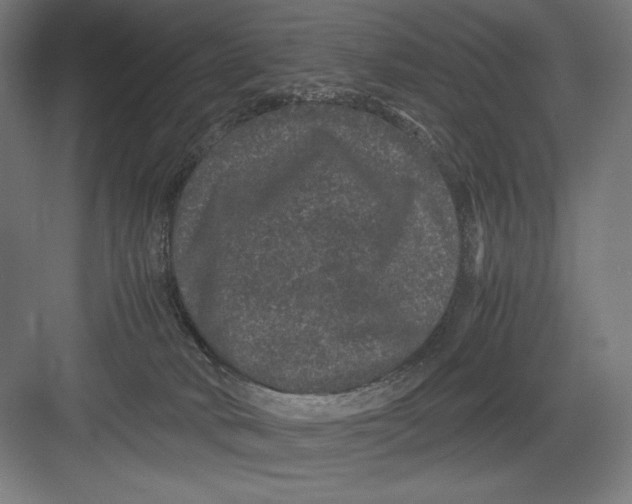 X0000082200034200702100012