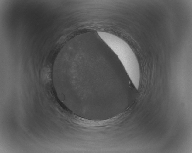 X0000082200035200702100012