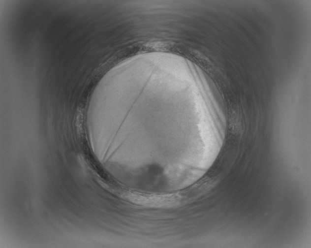 X0000082200036200702100012