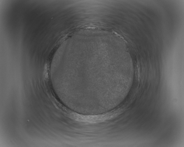 X0000082200038200702100012