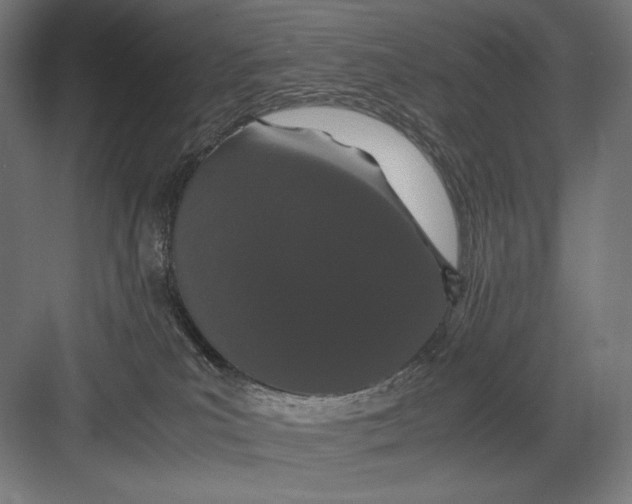 X0000082200039200702100012